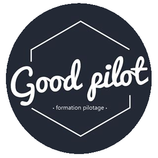 https://www.goodpilot.fr/